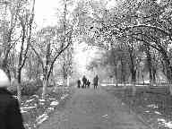морозныя зима на аллеях проспекта Бумажников